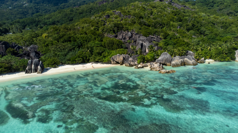 День девятый