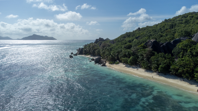 День девятый