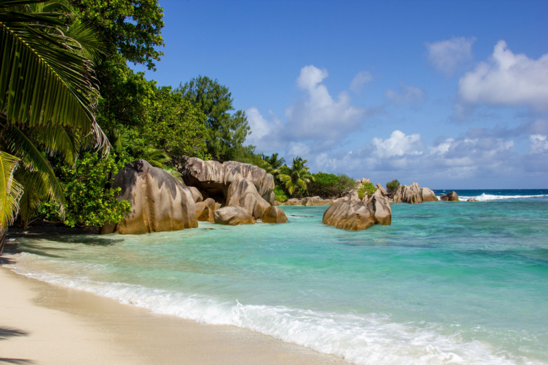 День девятый