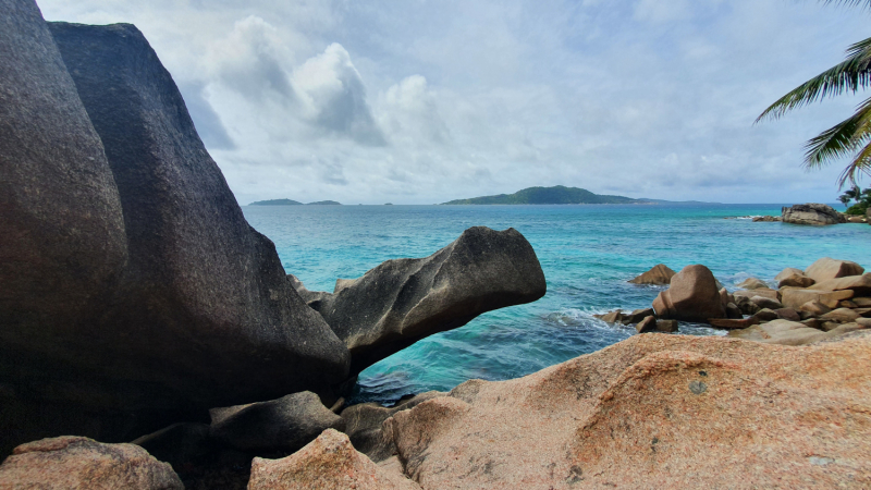 День восьмой