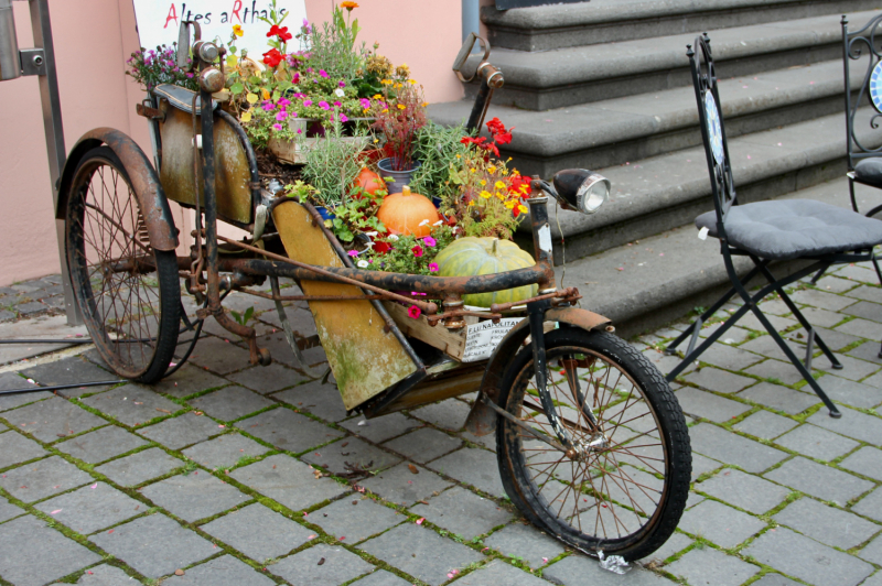 Осенний марафон 2021 г.