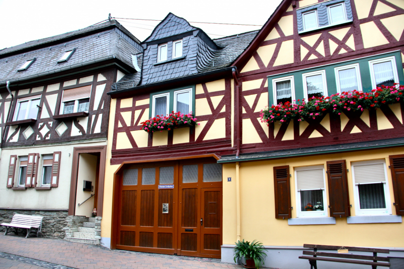 Осенний марафон 2021 г.