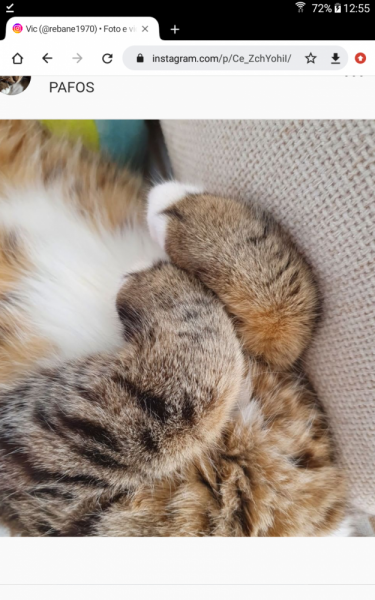 La mia vita. Римские записки, дневник онлайн