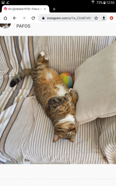 La mia vita. Римские записки, дневник онлайн