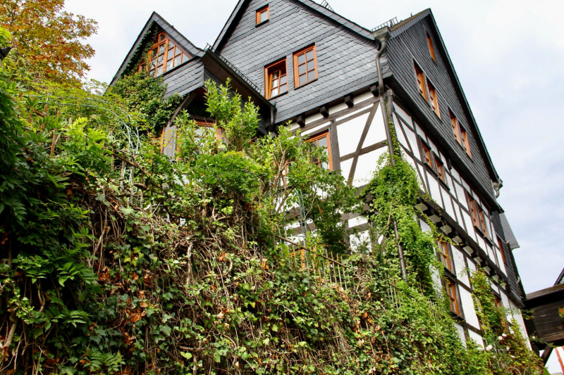 Осенний марафон 2021 г.