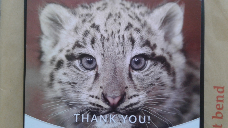 La mia vita. Римские записки, дневник онлайн