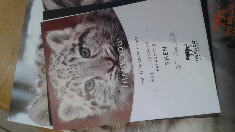 La mia vita. Римские записки, дневник онлайн