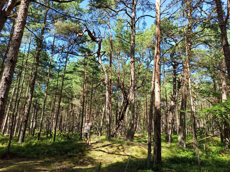 Fischland-Darss-Zingst