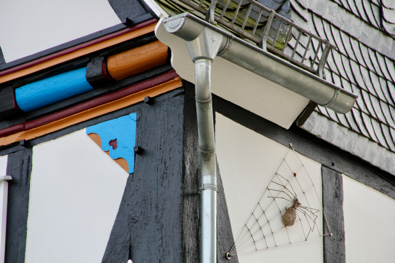 Осенний марафон 2021 г.