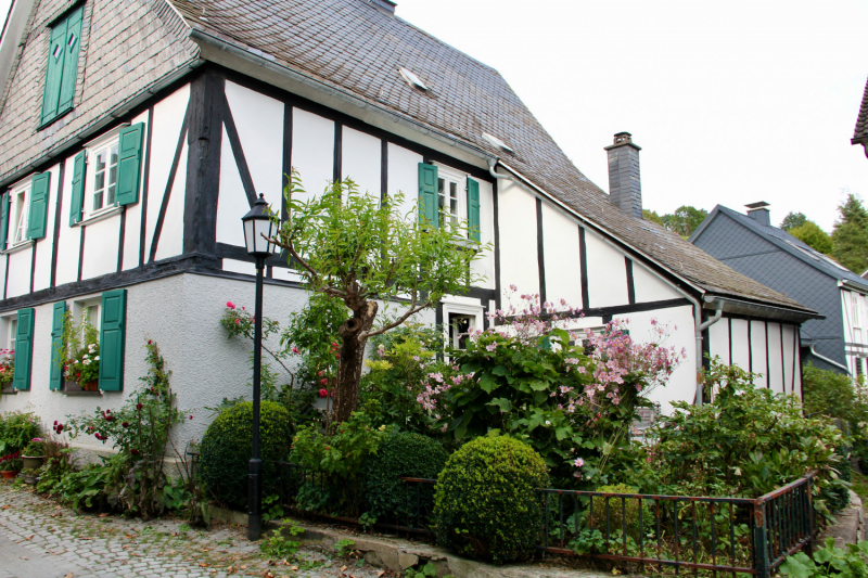 Осенний марафон 2021 г.