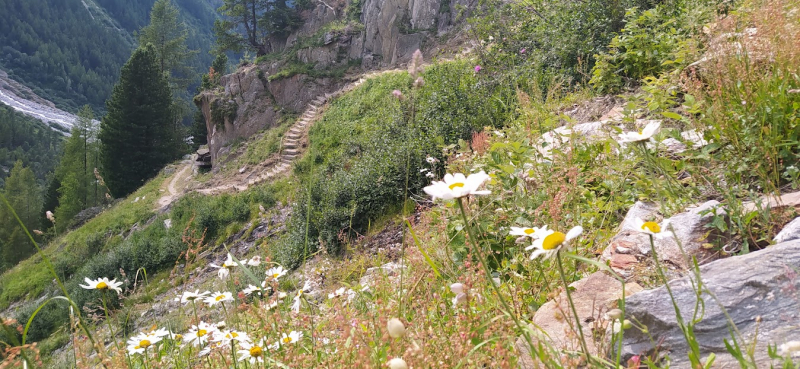 Walker’s Haute Route соло с палаткой за 9,5 дней с приквелом и сиквелом