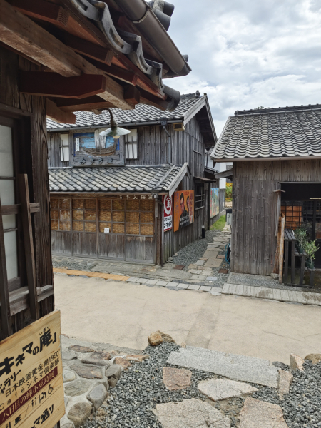 Сны о Японии: Дорого. И очень сердито. (лето 2022)