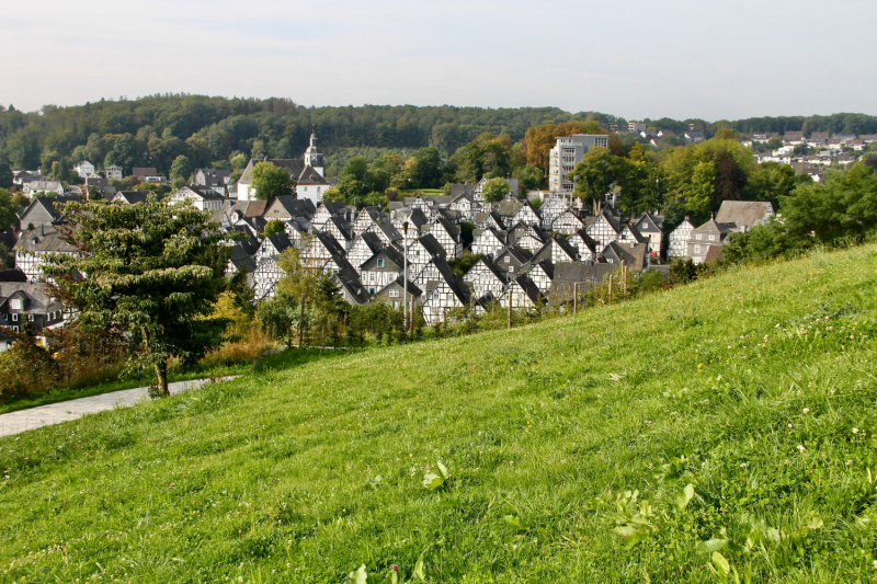 Осенний марафон 2021 г.