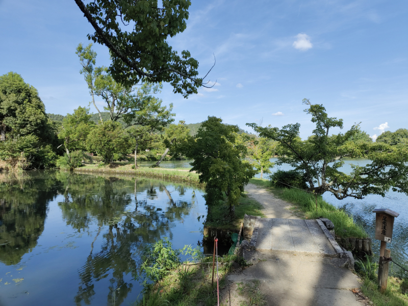 Сны о Японии: Дорого. И очень сердито. (лето 2022)