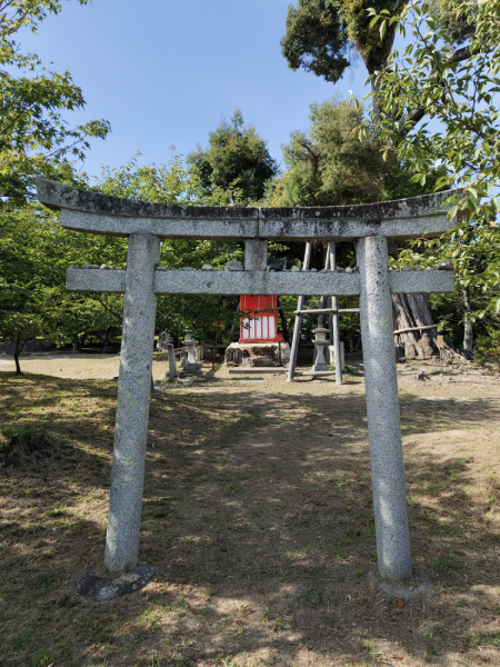 Сны о Японии: Дорого. И очень сердито. (лето 2022)