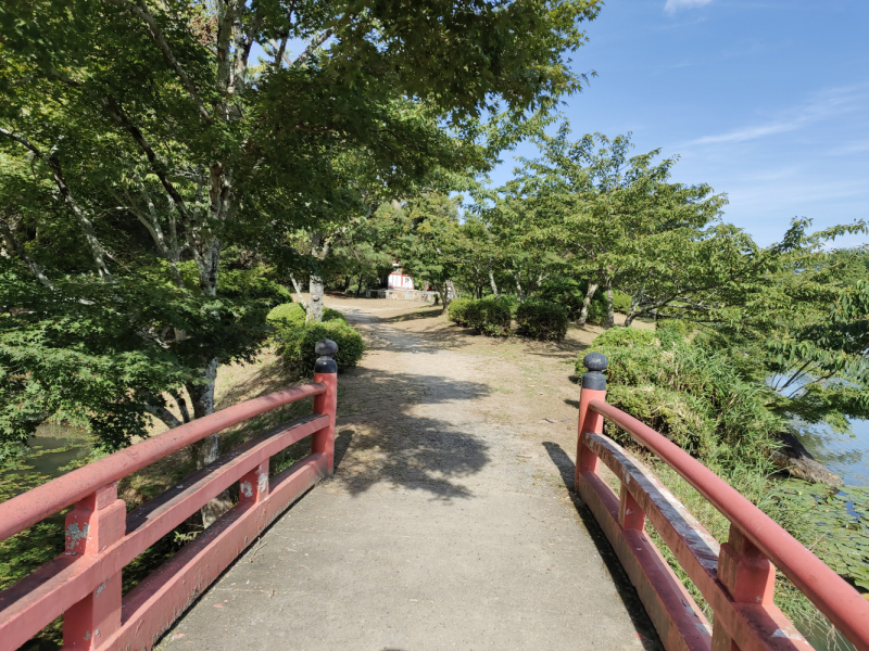 Сны о Японии: Дорого. И очень сердито. (лето 2022)