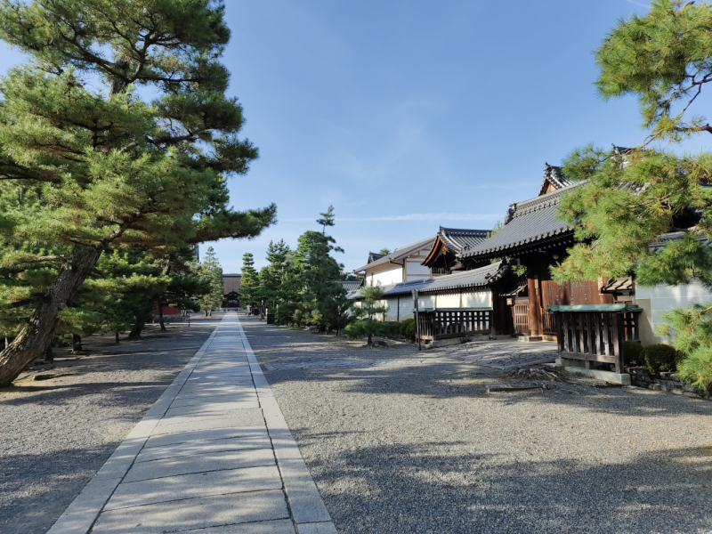 Сны о Японии: Дорого. И очень сердито. (лето 2022)