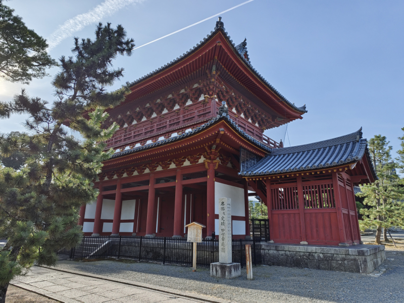 Сны о Японии: Дорого. И очень сердито. (лето 2022)