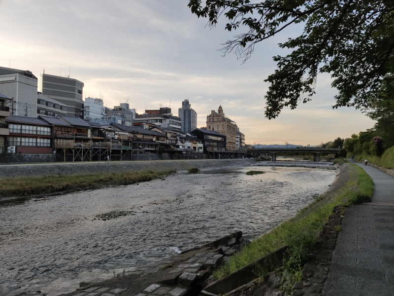 Сны о Японии: Дорого. И очень сердито. (лето 2022)