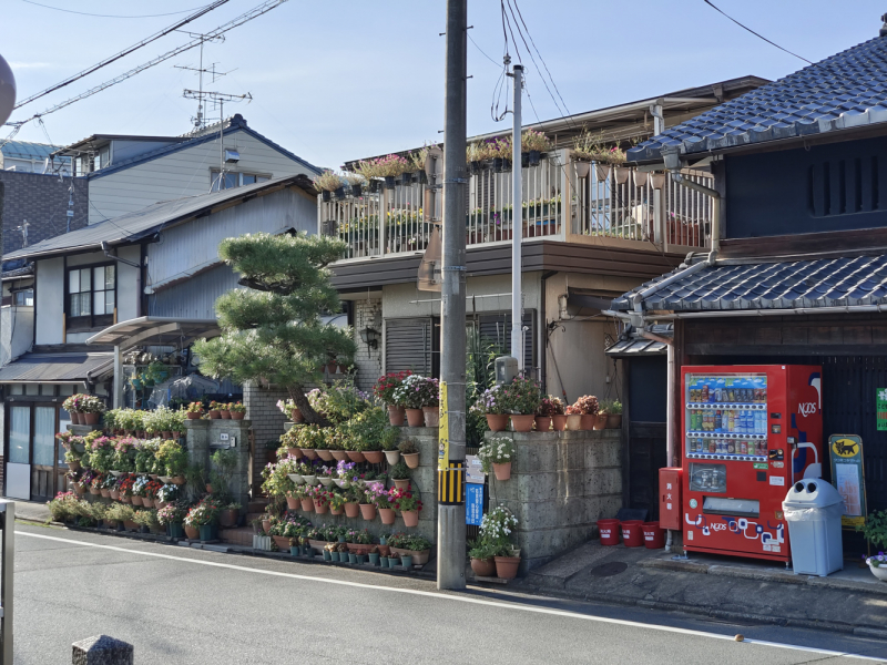 Сны о Японии: Дорого. И очень сердито. (лето 2022)