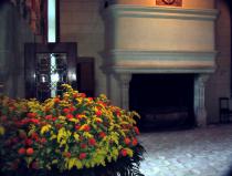 В замке Шенонсо