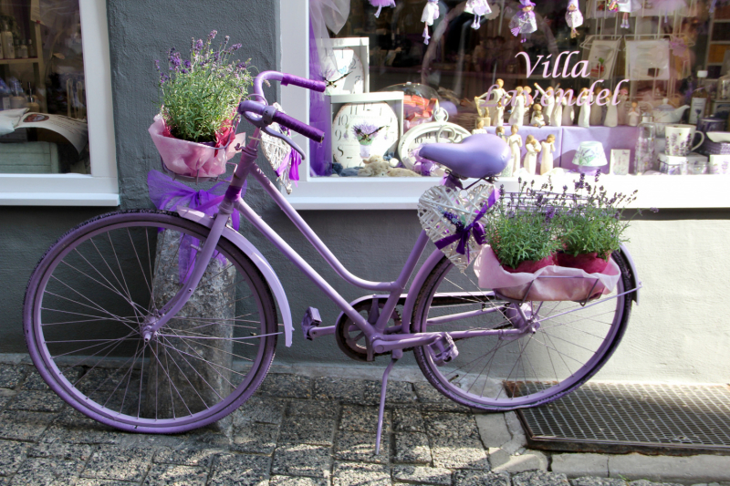 Осенний марафон 2021 г.