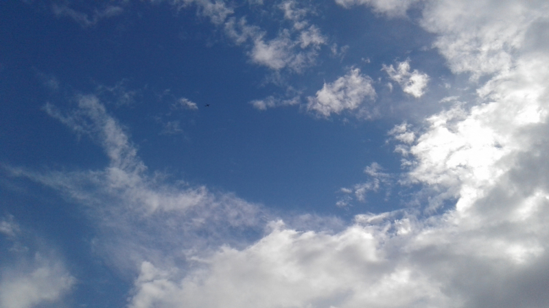 La mia vita. Римские записки, дневник онлайн