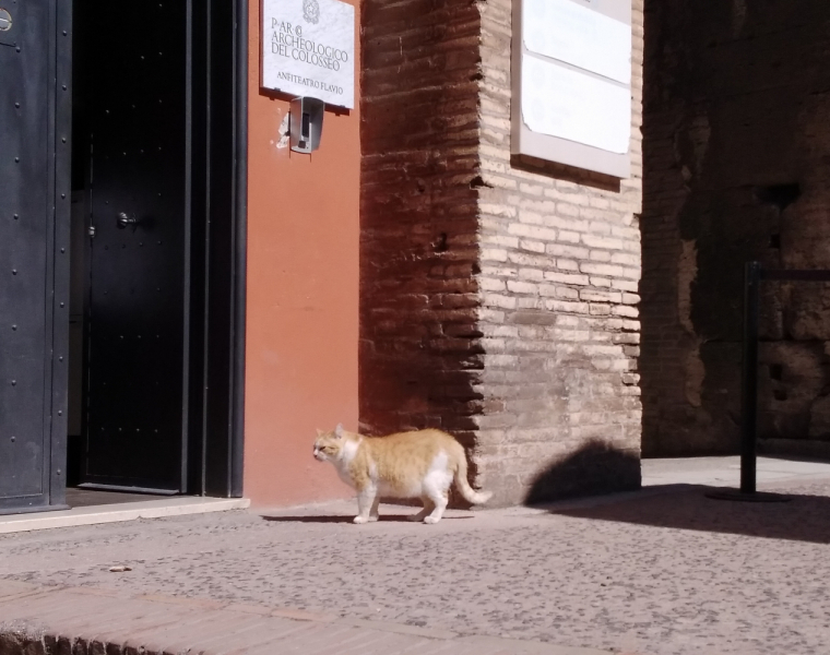 La mia vita. Римские записки, дневник онлайн