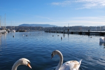 Лозанна-Женева январь 2012