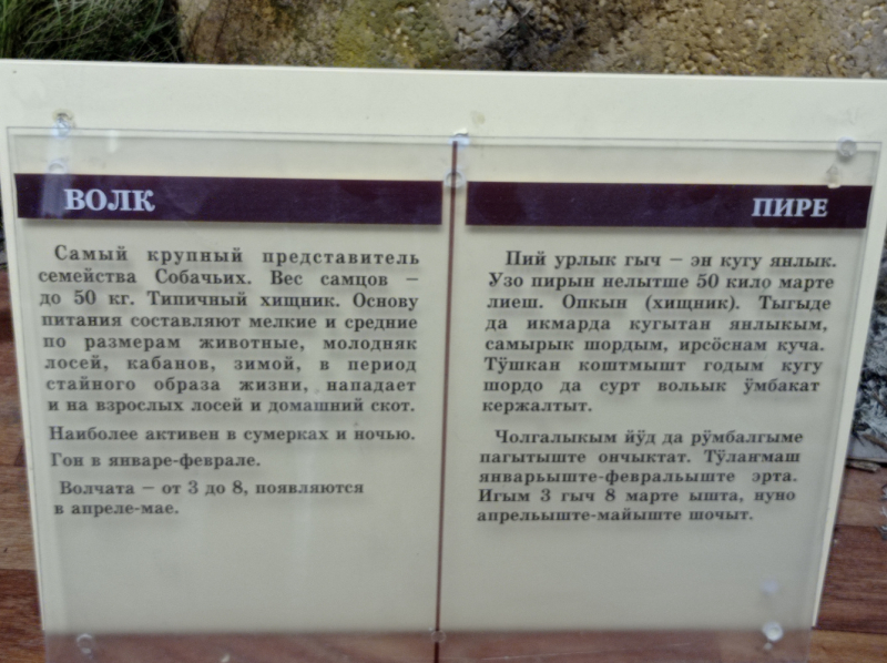 Поездка в Марий Эл - несколько дней в июле (Йошкар-Ола, нац. парк Марий Чодра, озеро Морской глаз, Козьмодемьянск)