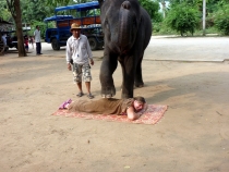 слоновий массаж