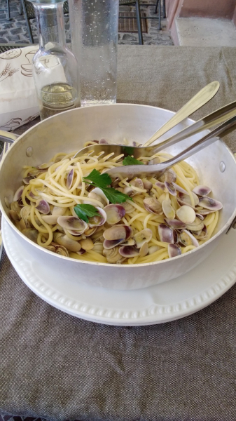 La mia vita. Римские записки, дневник онлайн