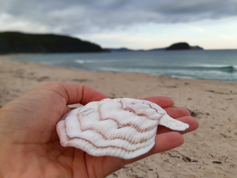 Остров и бухта Петрова