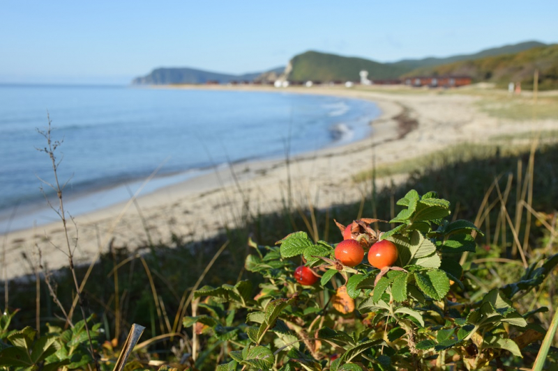 Остров и бухта Петрова