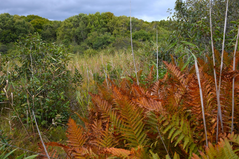 Остров и бухта Петрова