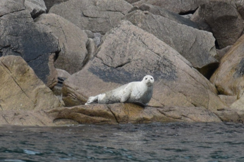 Морская прогулка и мыс Северный