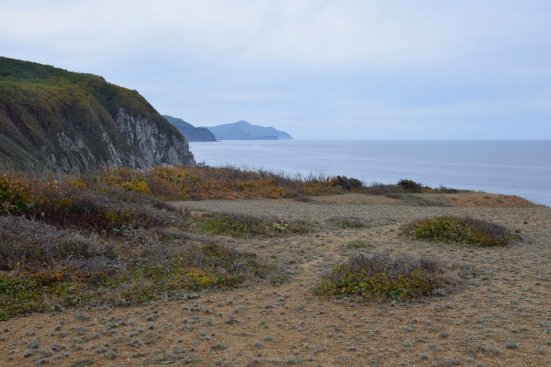 Морская прогулка и мыс Северный