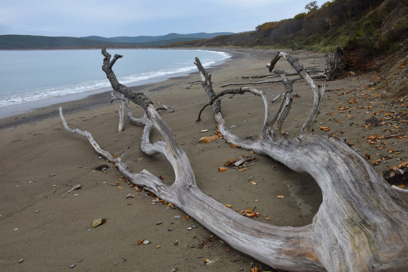 Морская прогулка и мыс Северный