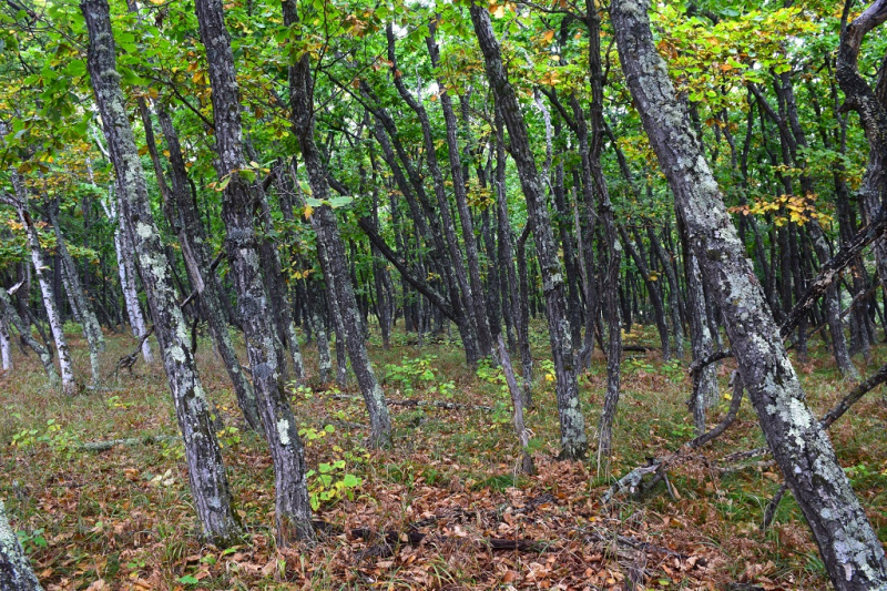 Морская прогулка и мыс Северный