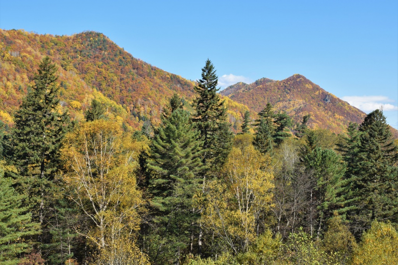 Водопад Чёрный шаман