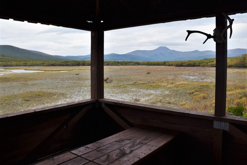 Голубичное и Благодатное