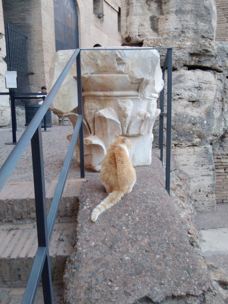 La mia vita. Римские записки, дневник онлайн