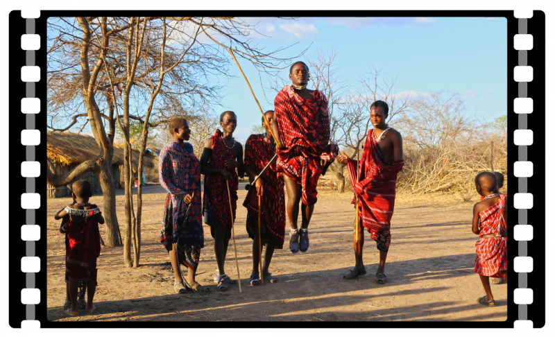 Поездка в Танзанию на пике ковидлы в ноябре 2021. Записки из дневника
