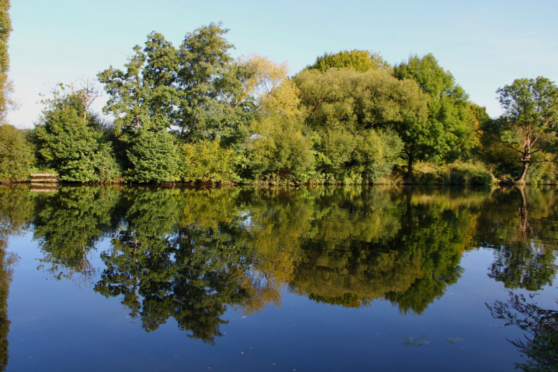 Осенний марафон 2021 г.