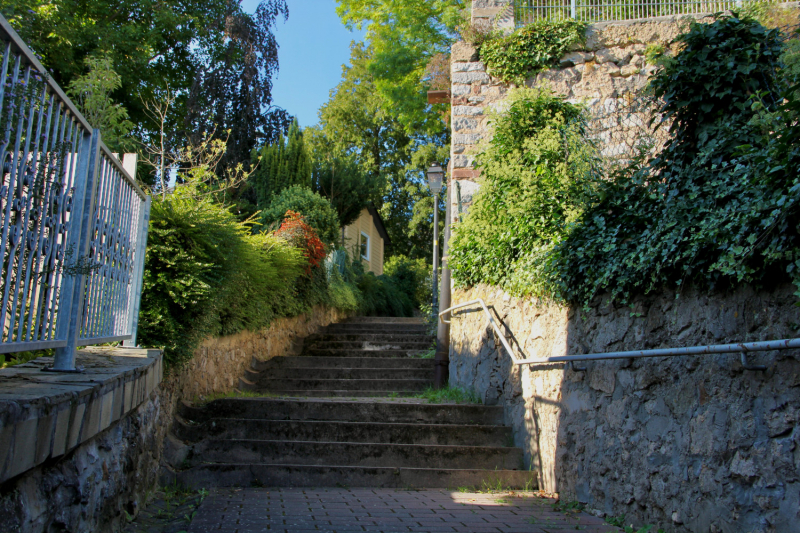 Осенний марафон 2021 г.