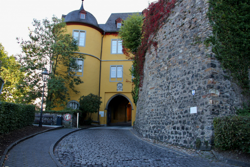 Осенний марафон 2021 г.