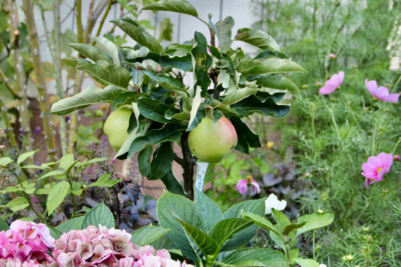 Осенний марафон 2021 г.