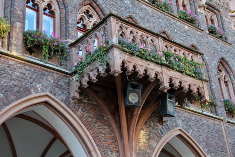 Осенний марафон 2021 г.