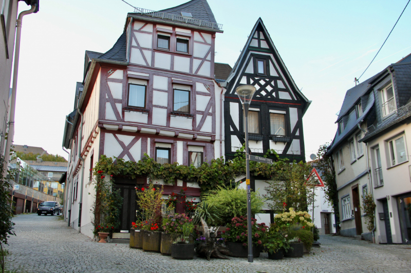 Осенний марафон 2021 г.