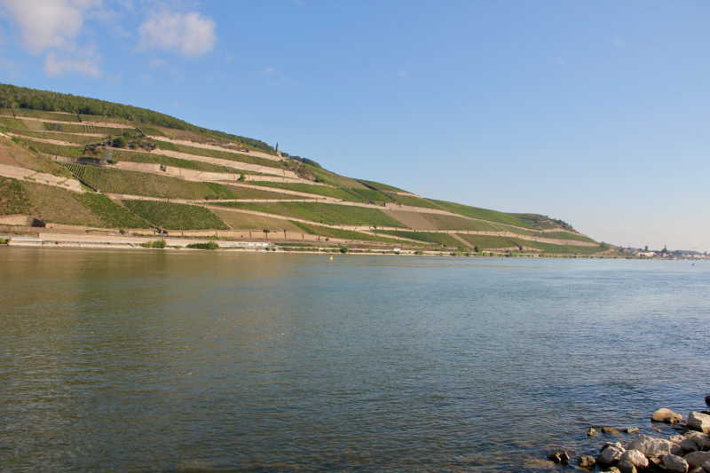 Осенний марафон 2021 г.